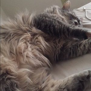 Meet your Posher, Lanae